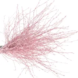 Zweige gefärbt-grid