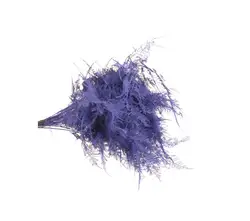 Plumosus gefärbt-grid