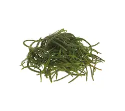 Konifere & Tanne-grid