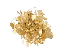 Populus gefärbt-grid