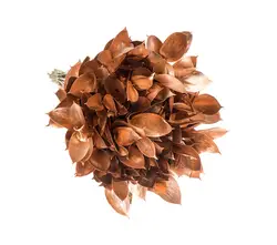 Sonstige Arten Schnittgrün gefärbt-grid