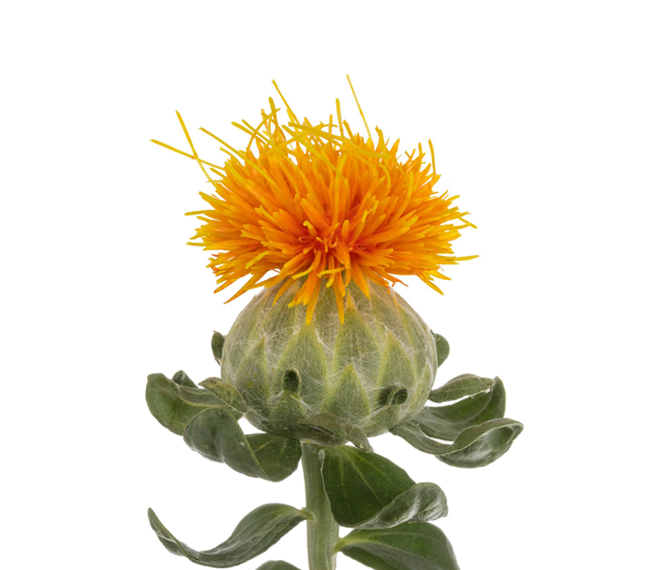 Sonstige arten beiwerk