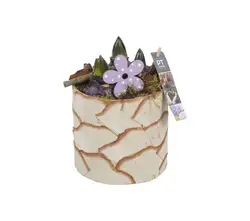 Zwiebel Arrangementen-grid