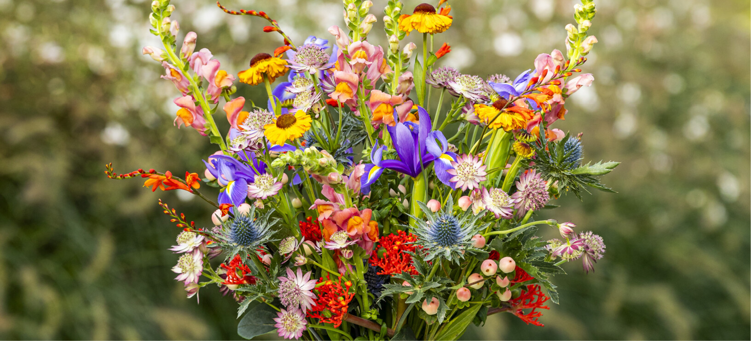 Die Psychologie der Farben: Welche Blumen passen zu welcher Emotion? 