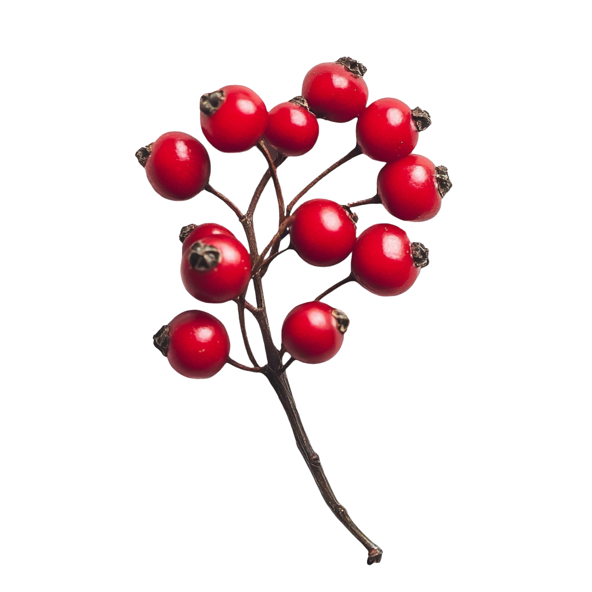 Beeren am stiel