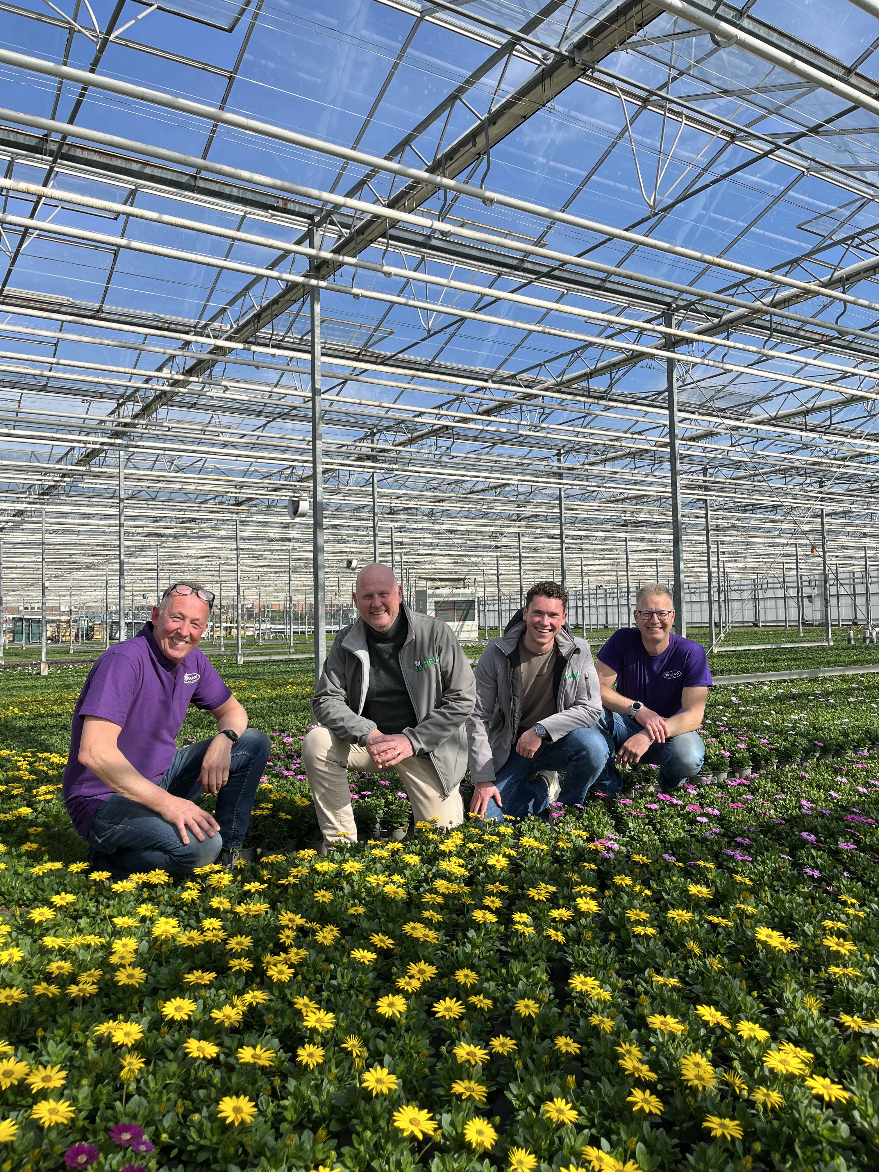 Spaloo webshop promo