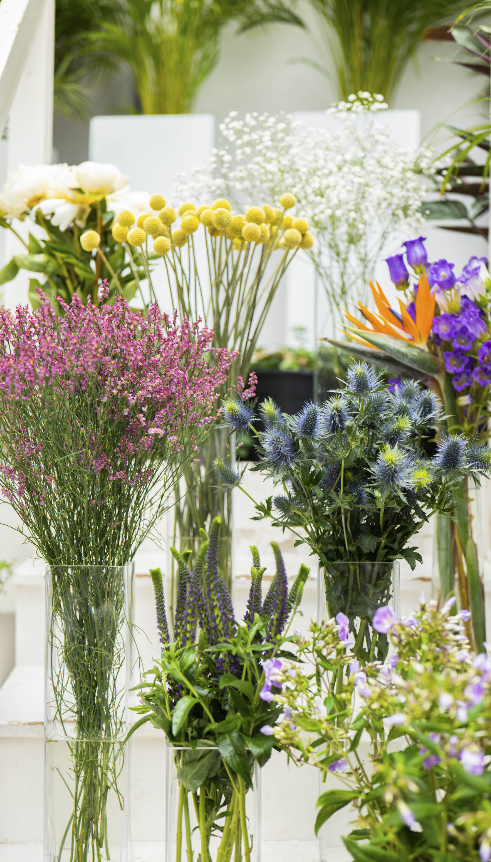 Bloemen in vazen