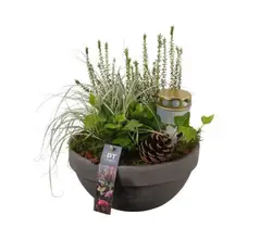 Allerheiligen Arrangemente-grid