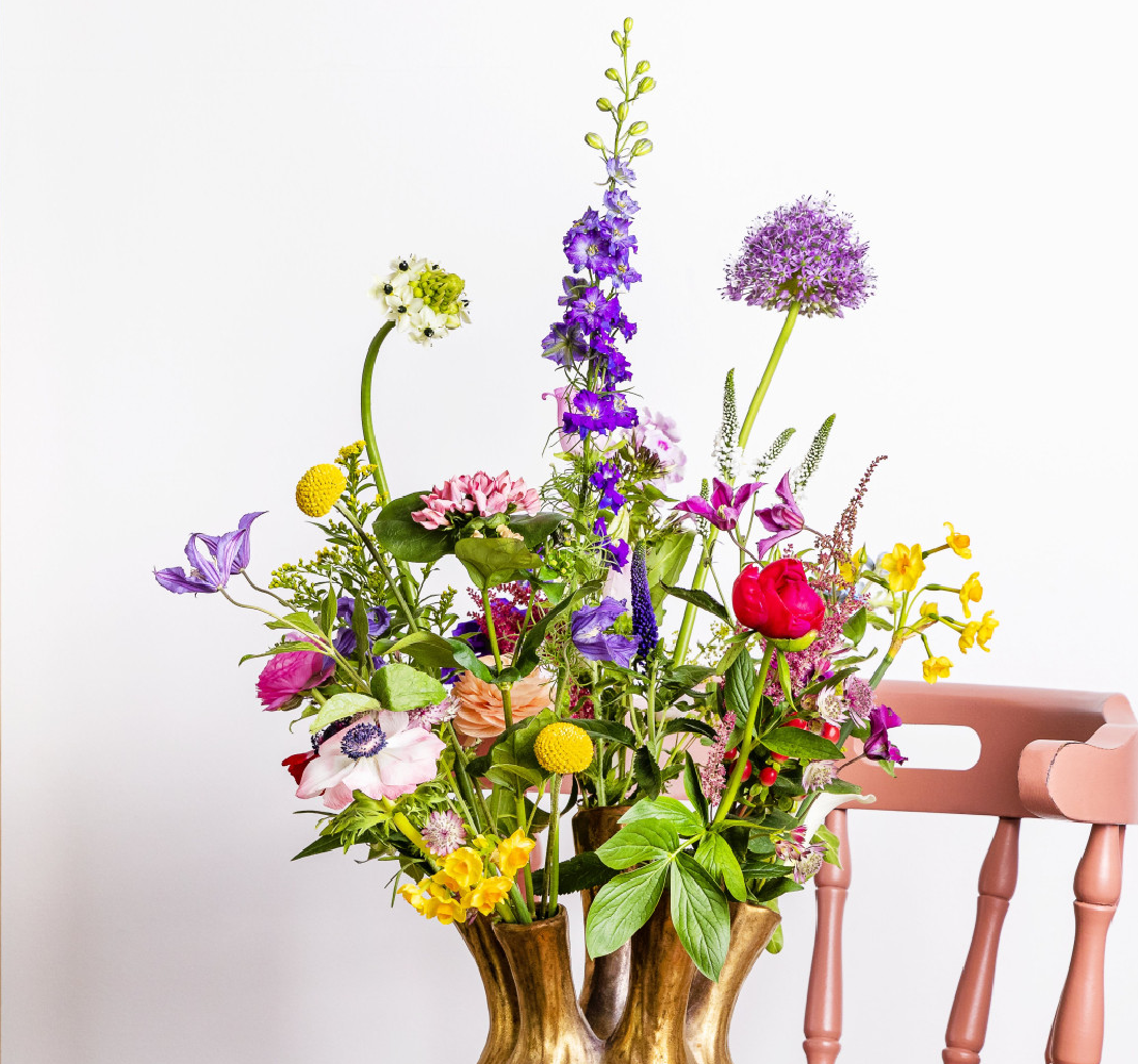 Frühling - search tag