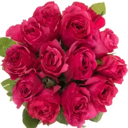 Parfum Flowers Gartenrosen-grid