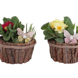 Garten.Arr mix ES617T2196 T17 H020