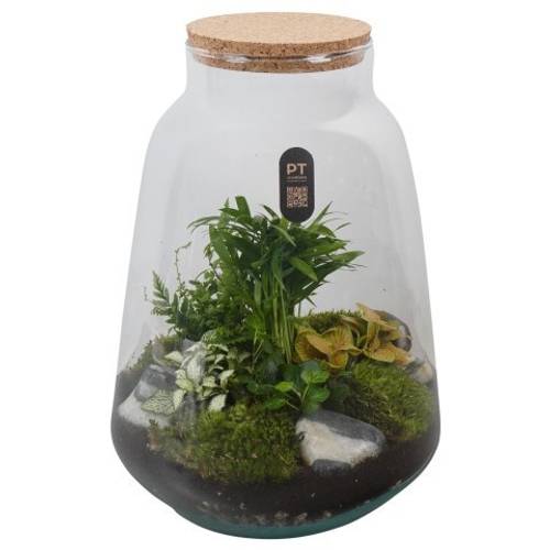 Flor.Arr PTTER8138 T26 H036