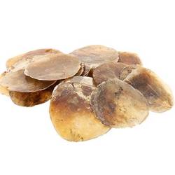 Muschelschalen Capiz natur 500gr