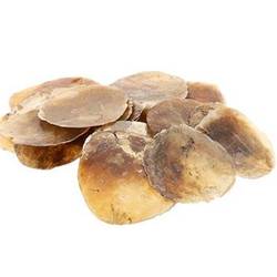 Muschelschalen Capiz natur 500gr