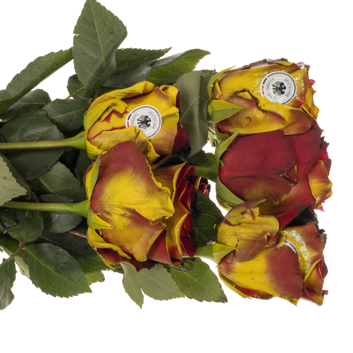 Rose schwarz/rot Deutsche Flagge gefärbt (Ec) 70cm