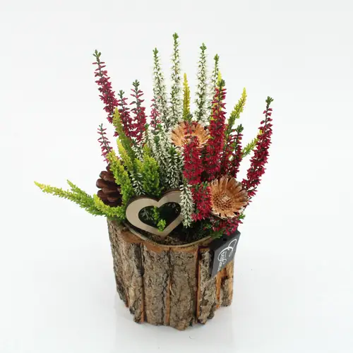 Garten.Arr-2501 Allerheiligen T14 H035