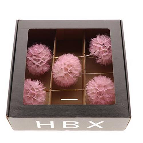 Seiden Pusteblume rosa x5 L35cm D11/13cm