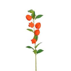 Seiden Physalis orange L69cm 