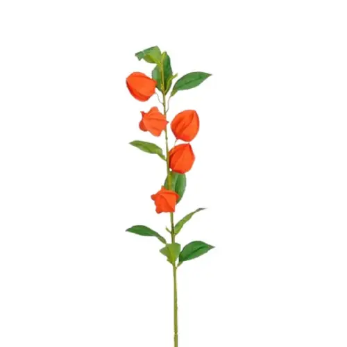Seiden Physalis orange L69cm 