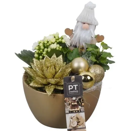 Kal.Arr PTCHG5602 Weihnachten T14 H020