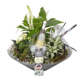 Spath.Arr PTON7941 Silvester T26 H026