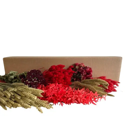 Trocken DIY box assorti rot 65-75cm