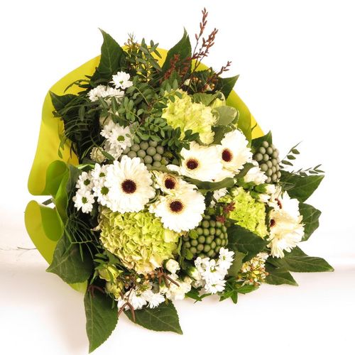 Strauß weiss Hortensia 20 Stiele 45cm