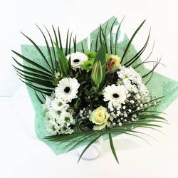 Strauß Deluxe weiss 40cm 18 Stiele