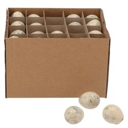 Wachtelei creme D02.5cm H03.5cm x60