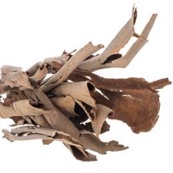 Eukalyptus braun Rinde Corteccia 1000 Gramm 70cm