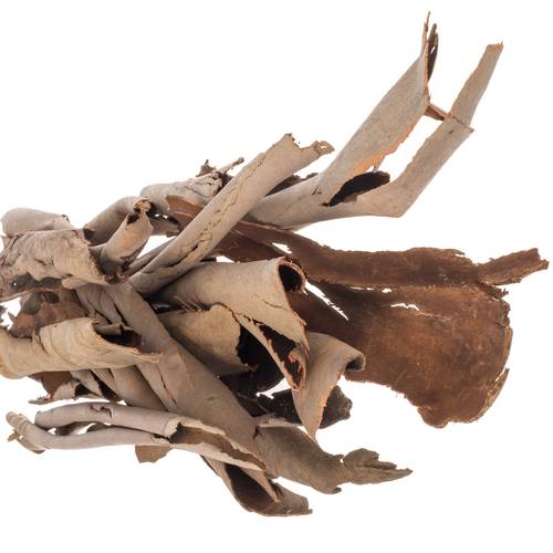 Eukalyptus braun Rinde Corteccia 1000 Gramm 70cm