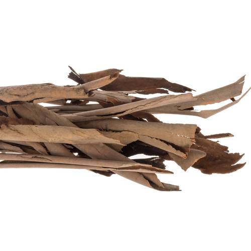 Eukalyptus braun Rinde Corteccia 1000 Gramm 70cm