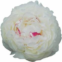 Pfingstrose creme gefüllt Mary Nichols  60cm