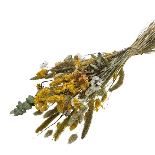 Trockenblumen Strauss gelb L55cm