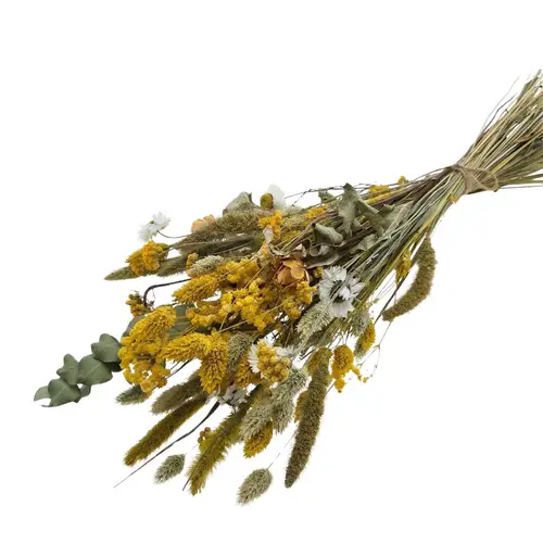 Trockenblumen Strauss gelb L55cm