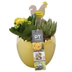 Kal.Arr PTPB6479 Ostern T11 H019
