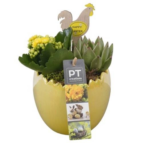 Kal.Arr PTPB6479 Ostern T11 H019