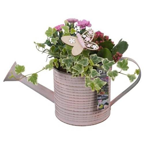 Garten.Arr PTPP6806 T34 H026