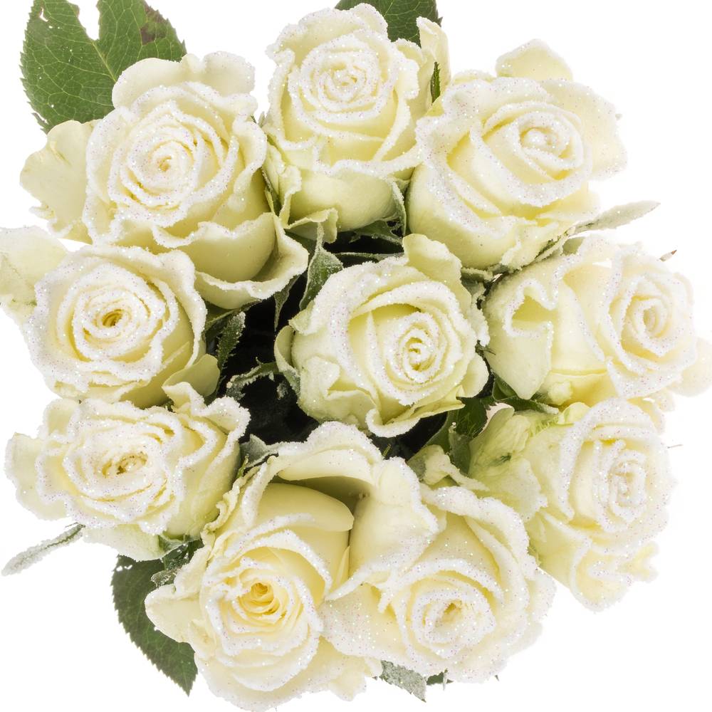 Rose creme/weiss Frost Alpe Dhuez 60cm