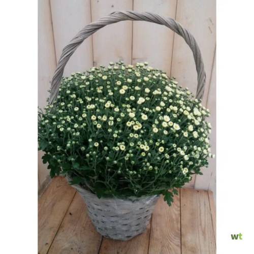 Korb Henkel Butrel grauwash D30cm H55cm