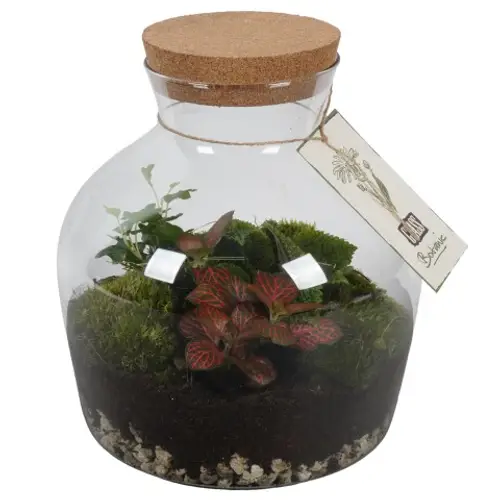 Flor.Arr PTGB1845 T24 H029