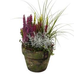 Garten.Arr PTHO7709 Herbst T17 H045