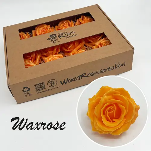 Seiden Wachs Rose dunkel gelb