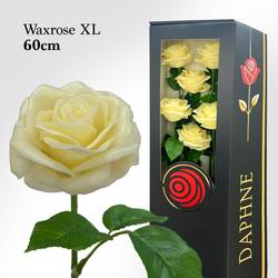 Plastik Wachs Rose auf Stiel creme L60cm