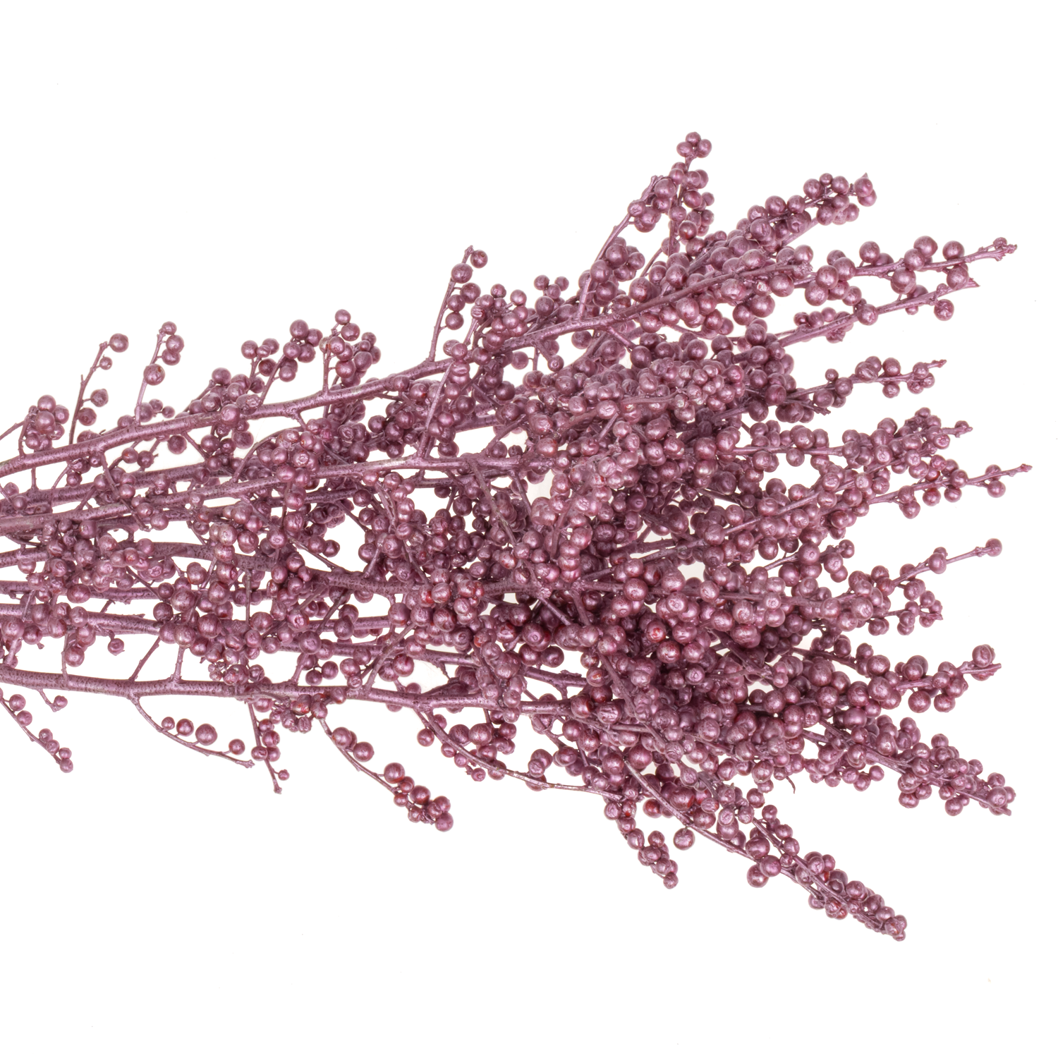 Ilex rosa metallic rose' gefarbt 70cm