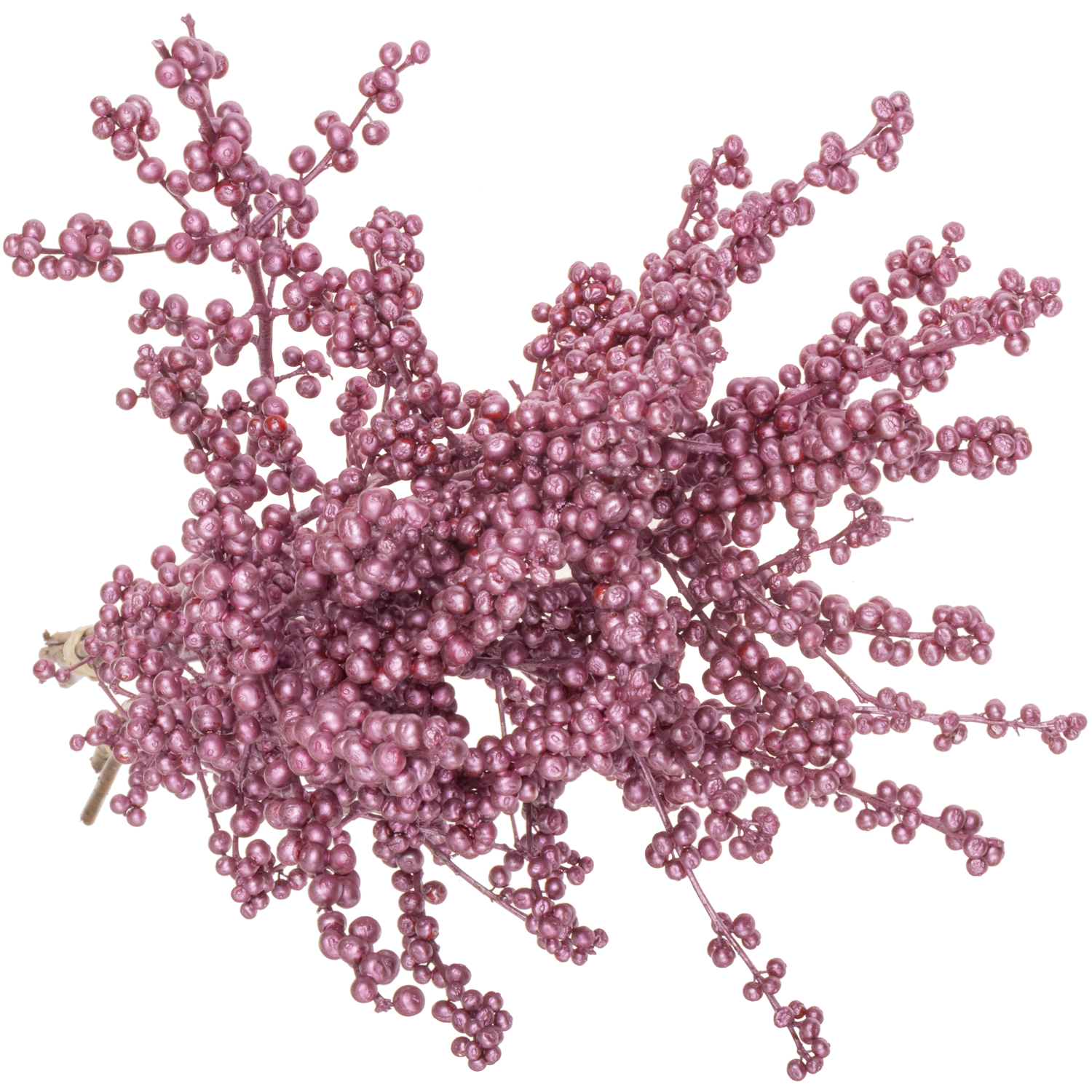 Ilex rosa metallic rose' gefarbt 70cm