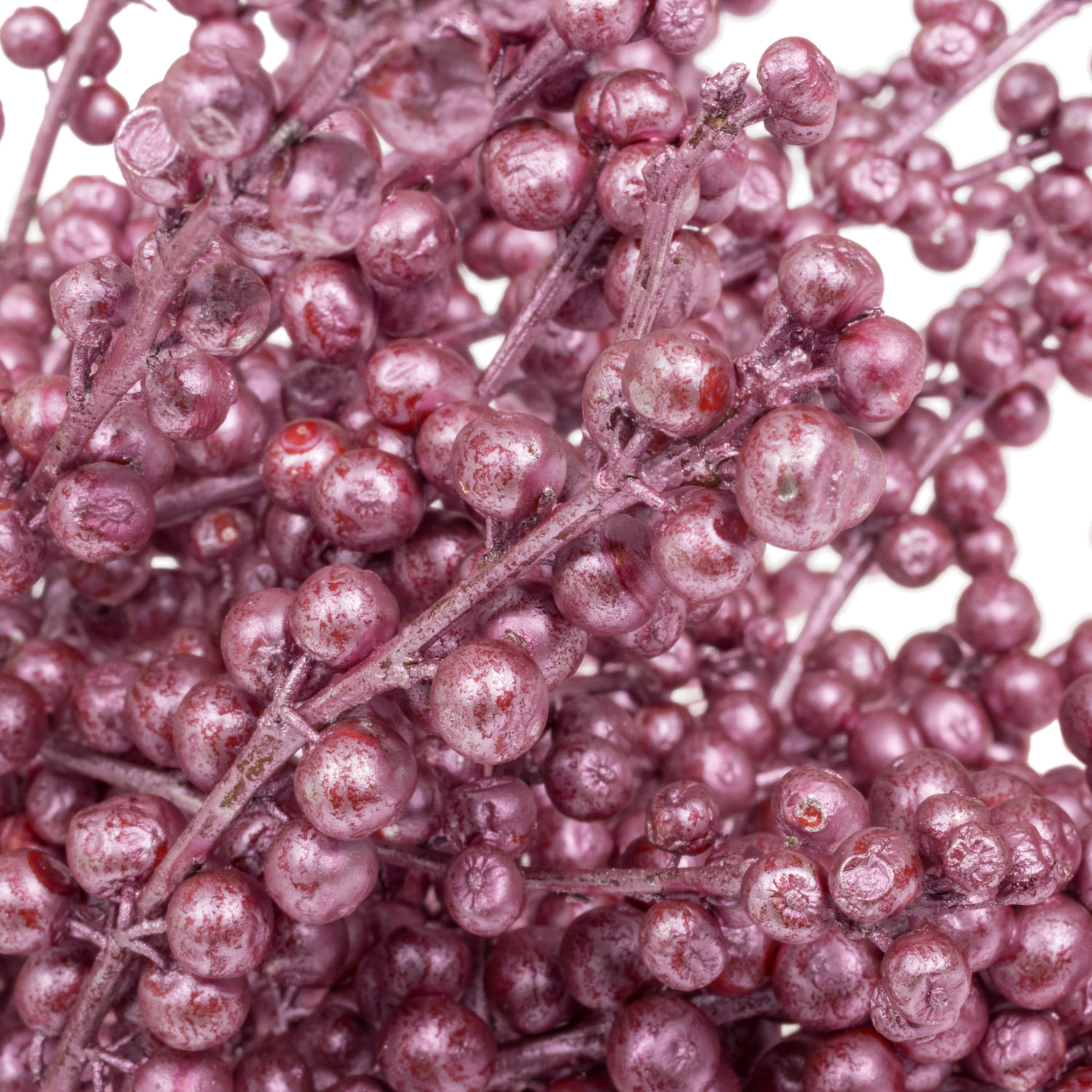 Ilex rosa metallic rose' gefarbt 70cm