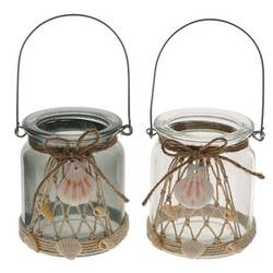 Glas Teelicht Muschel mix D07.5cm H09cm