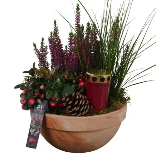 Garten.Arr PTAH8634 Allerheiligen T23 H040