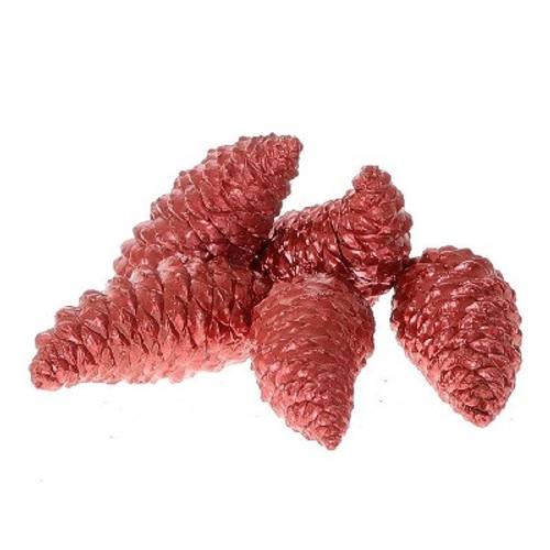 Zapfen Maritima Wachs rot 12cm 5st